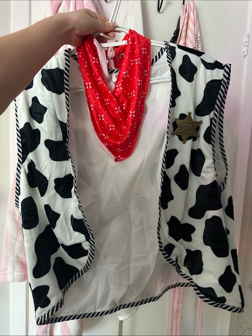 Woody Toy Story Costume